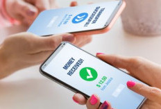 Waspada Pencurian Identitas Cara Mengetahui NIK/KTP Digunakan untuk Pinjaman Online