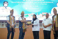 REI Apresiasi Program Pemkot Bandar Lampung, Dinilai Layak Jadi Contoh Nasional