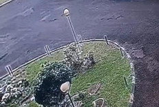 Motor Wartawan Pemprov Lampung Raib Saat Terparkir di Depan Balai Keratun