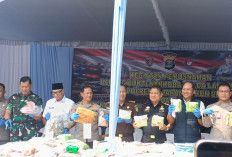 Ungkap 29 Kasus, Polda Lampung Musnahkan 119 Kg Sabu dan 35 Ribu Ekstasi dan Ratusan Senjata Rakitan