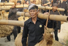 Tradisi Ngarengkong Kasepuhan Banten Kidul, Ritual Syukur Panen Penuh Kebersamaan