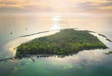 Pesona Pulau Panjang Jepara, Surga Pasir Putih di Jawa Tengah