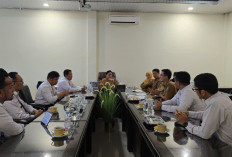 PLN dan Pemkab Lampung Selatan Dorong Percepatan Listrik di Pulau Sebuku
