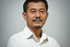 Mitigasi Konflik Gajah, TN Way Kambas Fokus Bangun Tanggul hingga Pemulihan Habitat