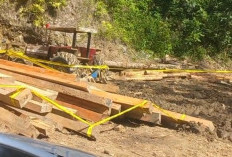 Polda Lampung Segel Lokasi Pembalakan Liar di Pesisir Barat