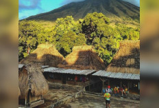 Jejak Megalitikum dan Kehidupan Adat di Lereng Gunung Inerie: Desa Wisata Tiworiwu