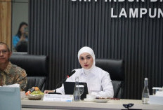 Komisi XII DPR RI Apresiasi Keandalan Listrik PLN di Lampung, Daya Mampu Capai 1.836,9 MW
