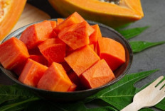 Pepaya untuk Diet Sehat, Ini Manfaat dan Cara Konsumsi yang Tepat