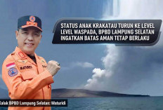 Status Anak Krakatau Turun ke Waspada, BPBD Lampung Selatan Ingatkan Batas Aman