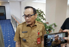 Aktivitas Tambang Emas Tanpa Izin Ditemukan di Hutan Register Pesawaran