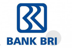 KUR BRI 2026: Solusi Pembiayaan UMKM dengan Bunga Ringan dan Akses Mudah