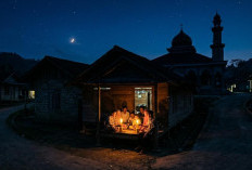 Listrik Sering Padam Saat Lebaran, APDESI Ngambur Soroti Kinerja PLN Liwa