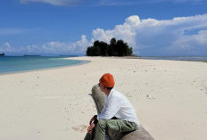 Morotai, Harmoni Panorama Tropis di Ujung Utara Nusantara