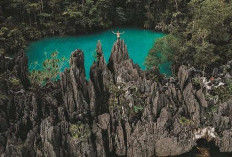 Pulau Labengki, Surga Tersembunyi Sulawesi Tenggara