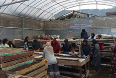 Dari Limbah ke Berkah: Kisah Perempuan Bandung Barat Bangun Usaha Lewat Sinergi Ultra Mikro BRI