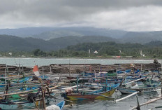 Produksi Perikanan Tangkap Pesisir Barat Tembus 2.030 Ton 