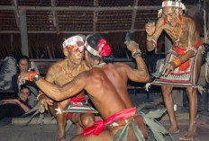 Tari Turuk Langgai: Kearifan Alam dan Spiritualitas Suku Mentawai