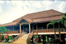 Mengenal Rumah Adat Nuwo Sesat di Lampung: Arsitektur, Fungsi, dan Nilai Sejarah