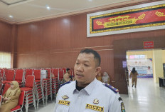 Bandar Lampung Siapkan Transportasi Publik Modern, Bidik Dukungan Program BTS