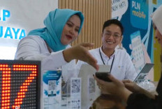 Promo Tambah Daya PLN Lampung Diserbu, Ribuan Pelanggan Hemat Biaya 50 Persen