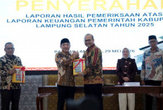 Satu Dekade Tanpa Putus, Lampung Selatan Kembali Raih Opini WTP dari BPK