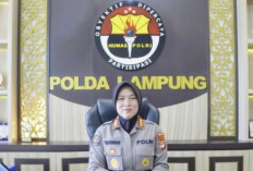 Polda Lampung Sikat 40 Kasus Kriminal, 41 Pelaku Diamankan dalam Sehari
