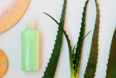 Cara Membuat Sabun Wajah Lidah Buaya untuk Bisnis Skincare Alami