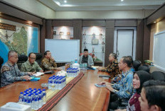 Pemprov Lampung Dorong Pringsewu Jadi Sentra Mocaf, Perkuat Ekonomi dan Ketahanan Pangan