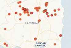 BMKG Catat 187 Hotspot di Lampung, Wilayah Utara dan Timur Terbanyak
