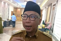 Soal Dugaan Illegal Logging di Pesisir Barat, Ini Kata Gubernur Mirza