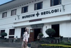 Museum Geologi Bandung: Jendela Pengetahuan tentang Bumi dan Alam Indonesia
