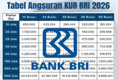 KUR BRI 2026, Simulasi Cicilan Pinjaman Rp 1 Juta hingga Rp 200 Juta