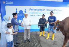Tebar Kepedulian Iduladha BRI Group Salurkan Lebih dari 5.000 Hewan Kurban