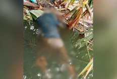 Mayat Pria Mengapung di Way Marang Gegerkan Warga Bangun Negara