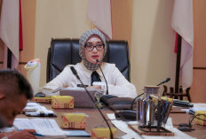 Target Eliminasi Malaria Lampung Dikebut, Pemprov Fokus Tuntaskan Kasus di Pesawaran