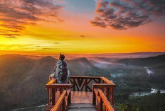 Bukit Panguk Kediwung, Destinasi Negeri di Atas Awan