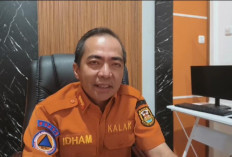 BPBD Bandar Lampung Laporkan 77 Kasus Pohon Tumbang Akibat Cuaca Ekstrem Awal 2026