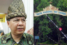 Alzier Pertanyakan Perawatan Gajah Indra, Desak Evaluasi Sistem Konservasi Way Kambas