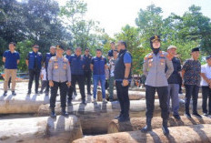 Polda Lampung Perketat Pengawasan Kasus Illegal Logging di Pesisir Barat