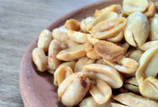 Kacang Jepara: Camilan Tradisional yang Gurih dan Melegenda