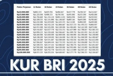 Pinjaman KUR BRI hingga Rp100 Juta Masih Tersedia sampai Penghujung 2025