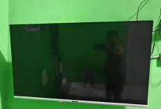 Cara Setting TV Android ke TV Digital dengan Mudah dan Cepat