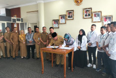 PLN dan Pemkab Tanggamus Bidik Optimalisasi PAD Lewat PBJT Tenaga Listrik