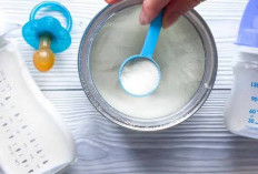 Panduan Memilih Susu Formula Terbaik Agar Bayi Tumbuh Sehat dan Optimal
