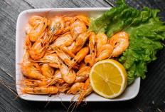 Manfaat Udang untuk Anak dan Efek Sampingnya yang Wajib Diketahui Orang Tua Sejak Dini
