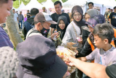 Geliat UMKM Lampung Selatan Menguat di Tengah Semarak IDS Sumatra 2026