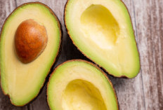 Alpukat Siger Jadi Andalan, Pekon Ujung Dorong Ketahanan Pangan dan Ekonomi Warga