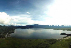 Surga Flora dan Fauna Endemik di Taman Nasional Lore Lindu Sulawesi Tengah