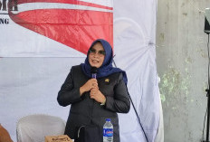 Misgustini Nilai Pilkada Lewat DPRD Bisa Tekan Biaya Politik