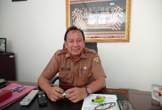 Harga Plastik Naik, Disdag Bandar Lampung Tegaskan Bukan Komoditas Pantauan Utama